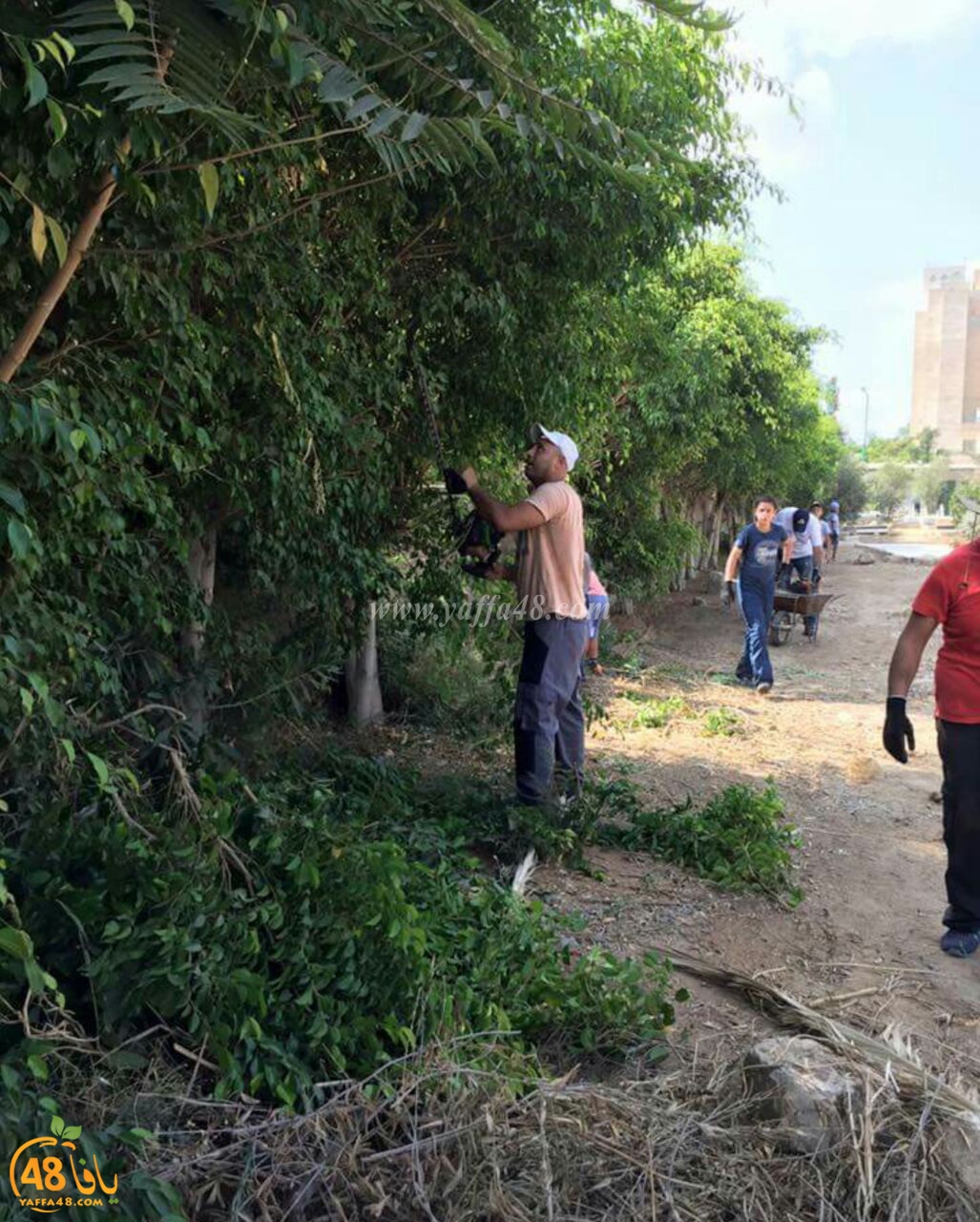 maqbara lud ja (6).jpg